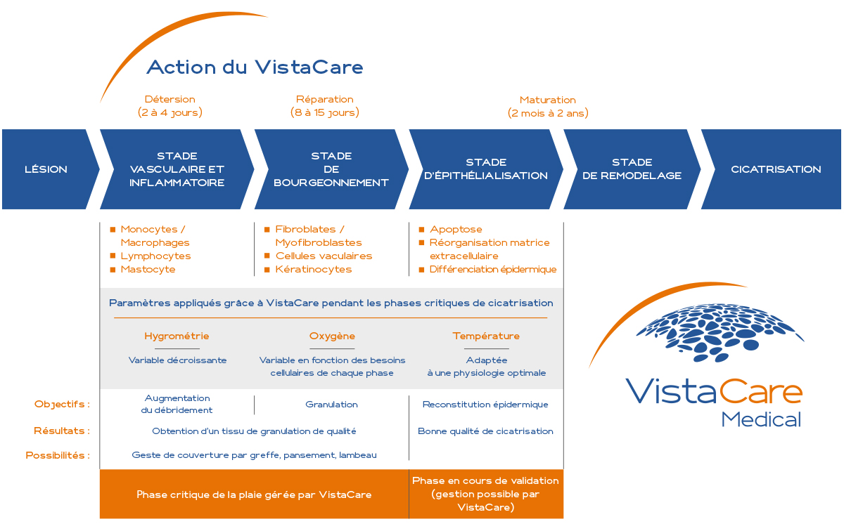 VistaCare-Medical-Schema-Action-du-VistaCare